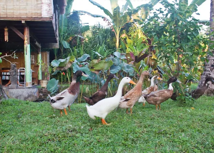 Jasri Dalem Surf Retreat